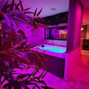 Le Boudoir Suite&spa Malissard